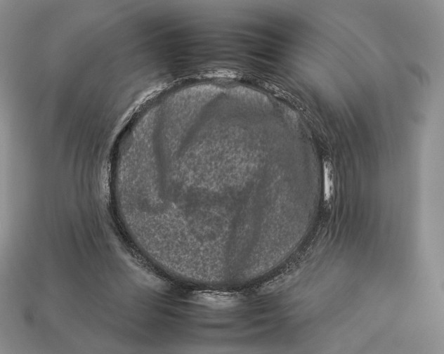 X0000112930300200909211119