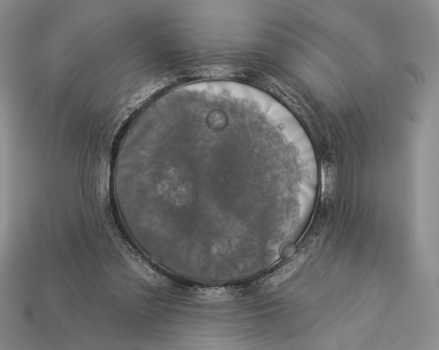 X0000112930301200909211119