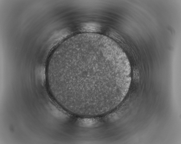 X0000112930302200909211119