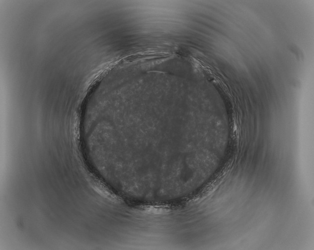 X0000112930303200909211119