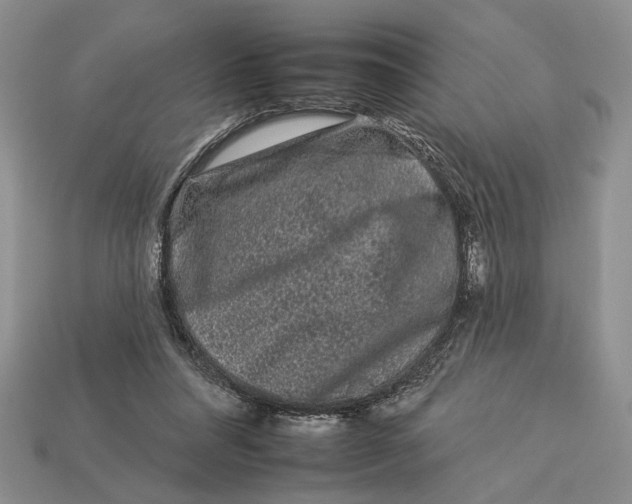 X0000112930304200909211119