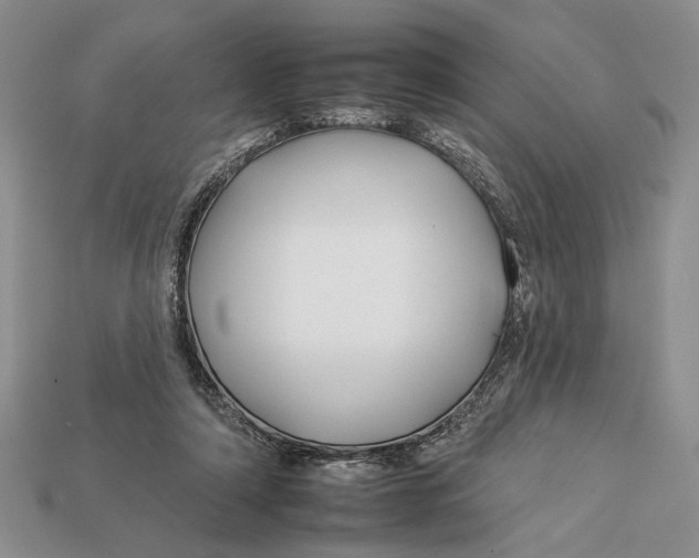 X0000112930306200909211119