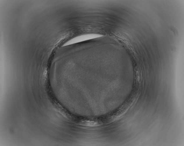 X0000112930308200909211119