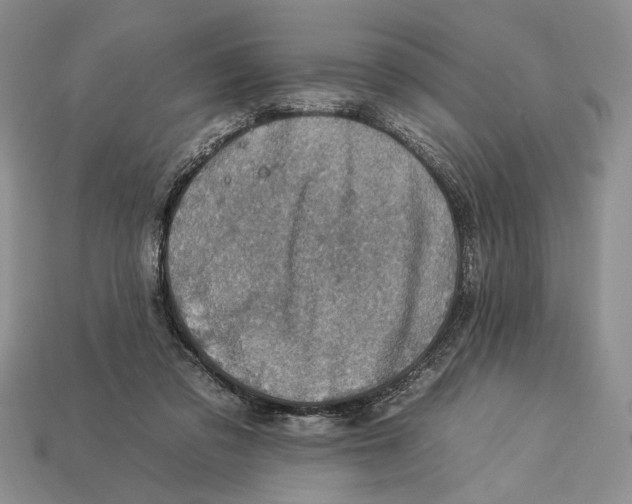 X0000112930309200909211119