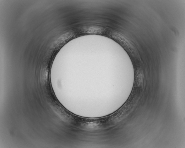 X0000112930310200909211119