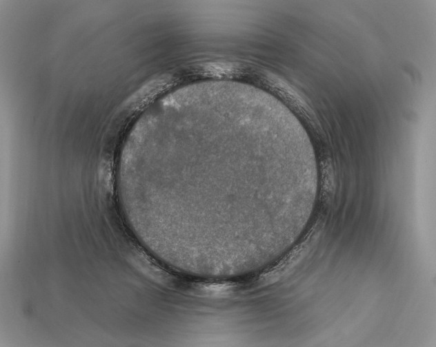 X0000112930313200909211119