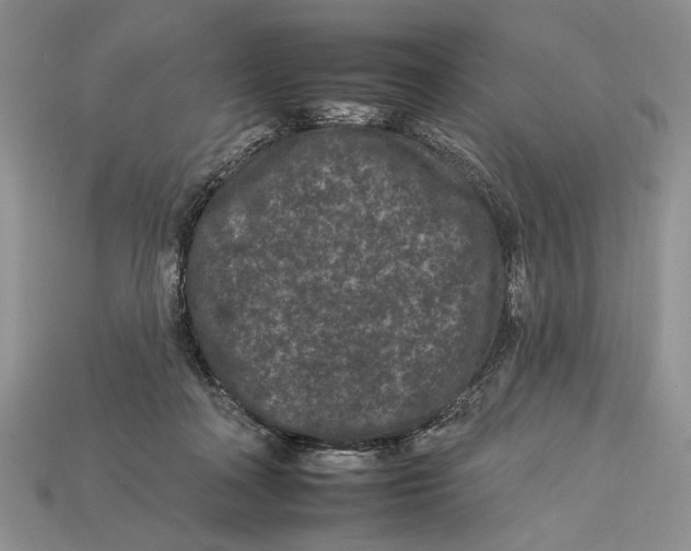 X0000112930314200909211119