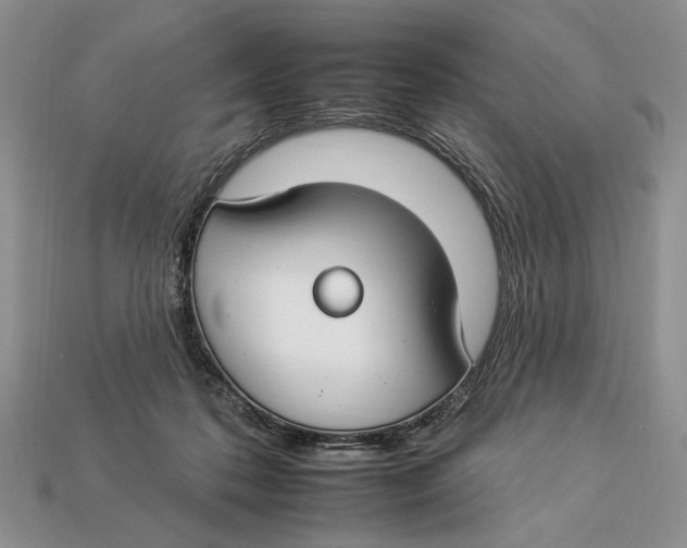 X0000112930316200909211119