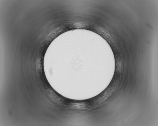X0000112930317200909211119