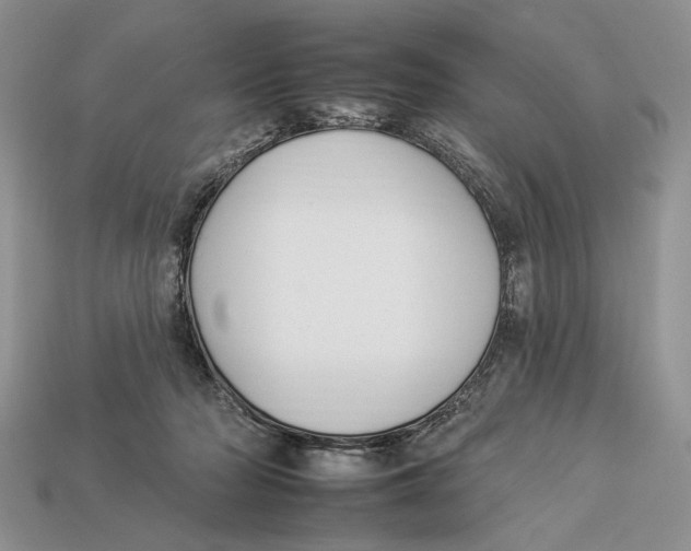 X0000112930318200909211119