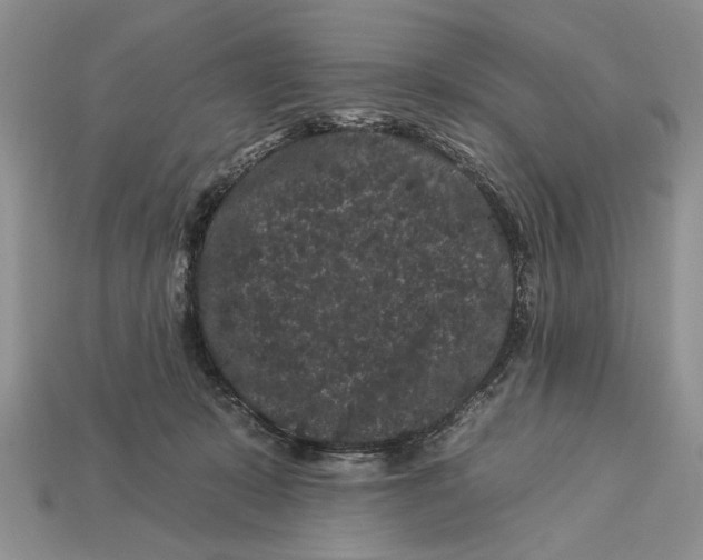X0000112930319200909211119