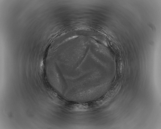 X0000112930320200909211119
