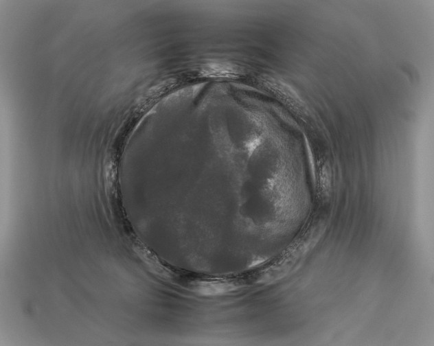 X0000112930322200909211119