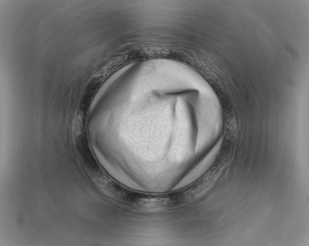 X0000112930323200909211119