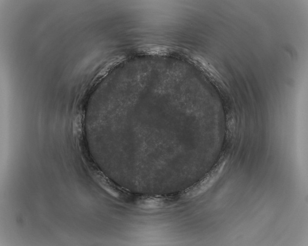 X0000112930325200909211118