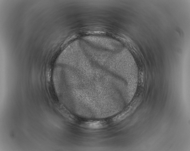 X0000112930326200909211118