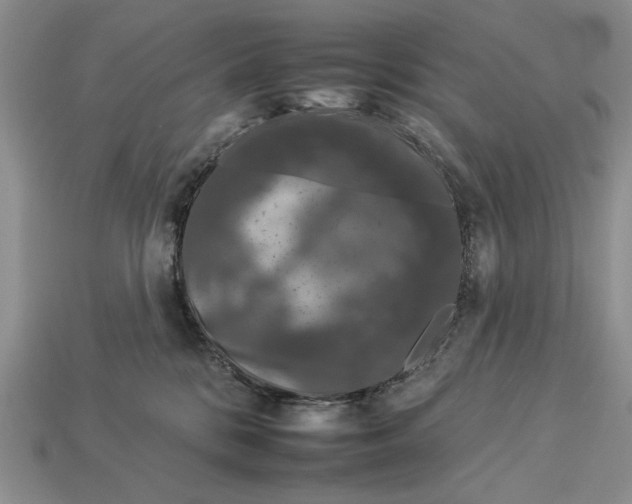 X0000112930328200909211118