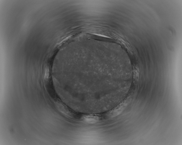 X0000112930331200909211118