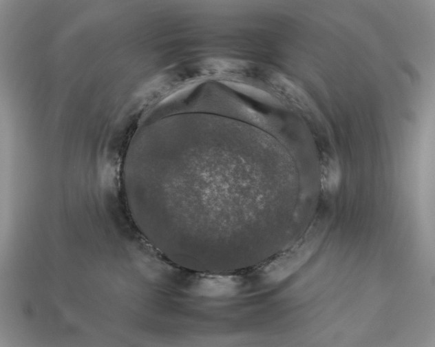 X0000112930332200909211118