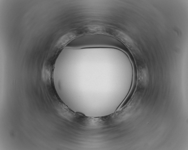X0000112930333200909211118