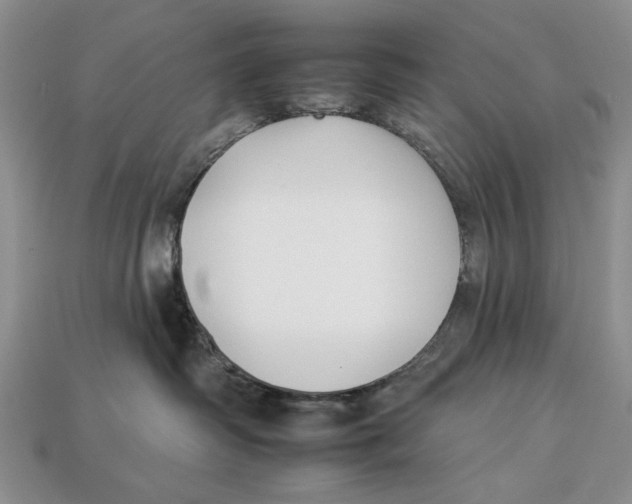 X0000112930334200909211118