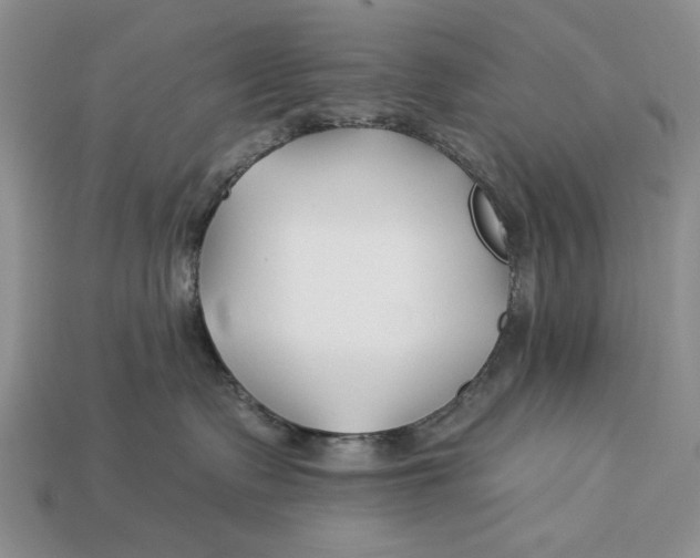 X0000112930335200909211118