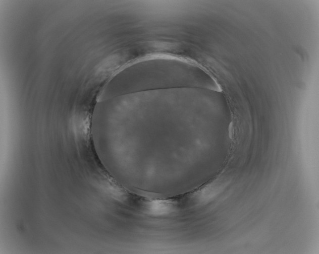 X0000112930336200909211118