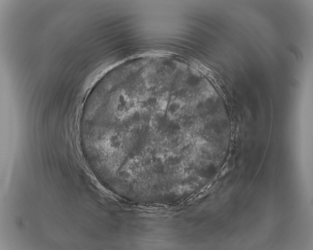 X0000112930337200909211118