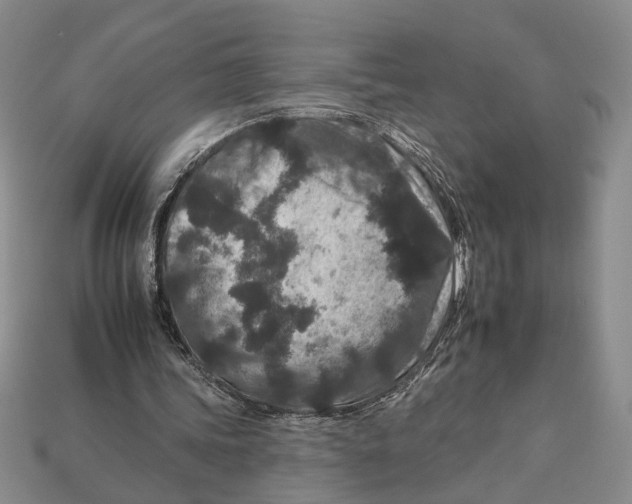 X0000112930339200909211118