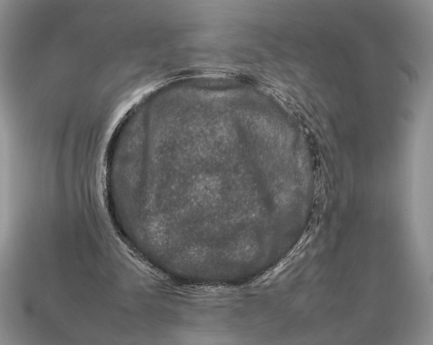 X0000112930342200909211118
