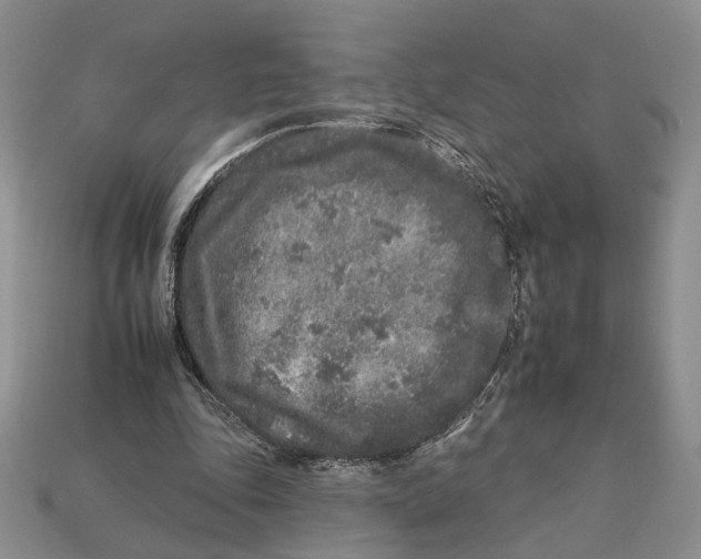 X0000112930343200909211118