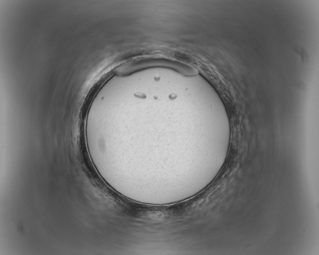 X0000112930344200909211118