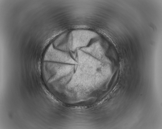 X0000112930345200909211118