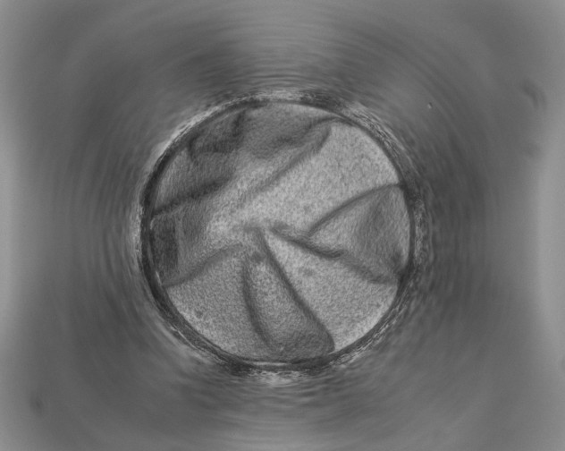 X0000112930346200909211118