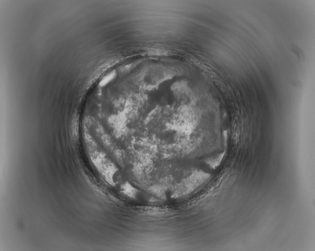 X0000112930347200909211118