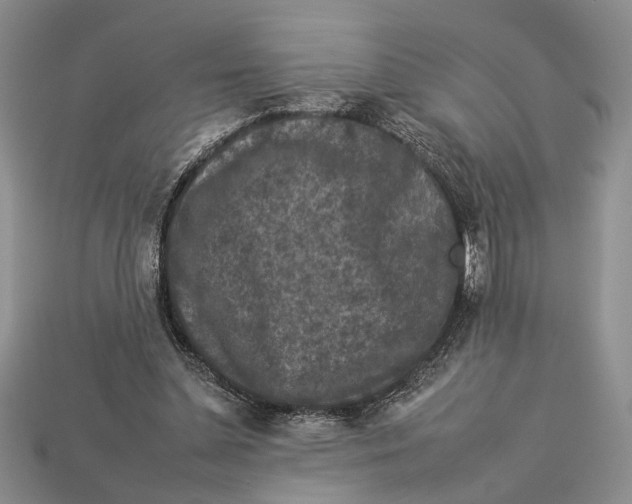 X0000112930348200909211118