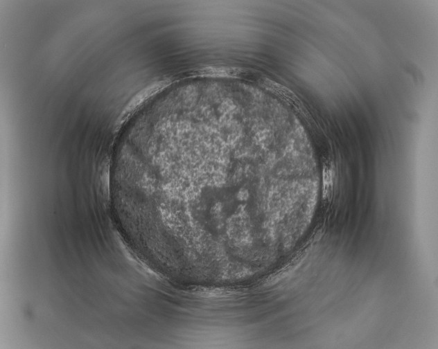 X0000112930349200909211118