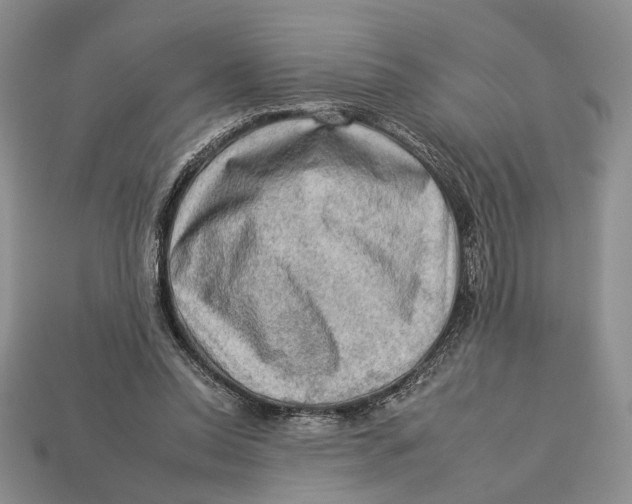 X0000112930350200909211118
