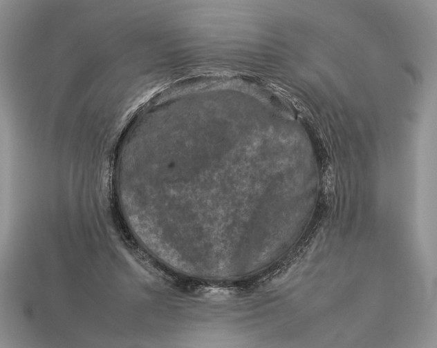 X0000112930352200909211118