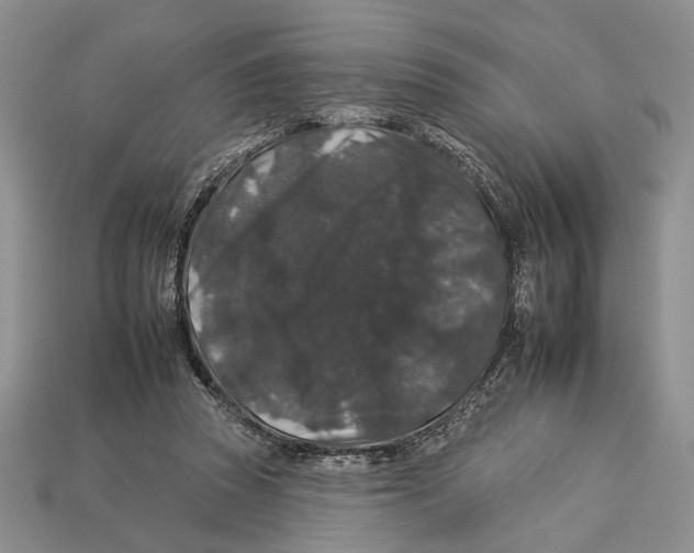 X0000112930353200909211118