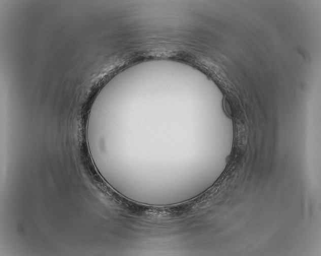 X0000112930354200909211118
