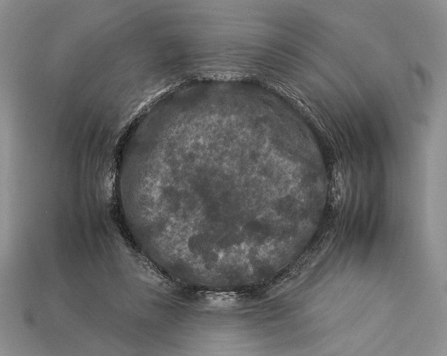 X0000112930355200909211118