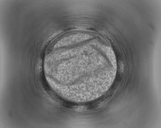 X0000112930356200909211118