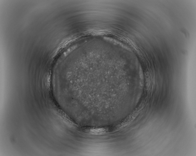 X0000112930357200909211118