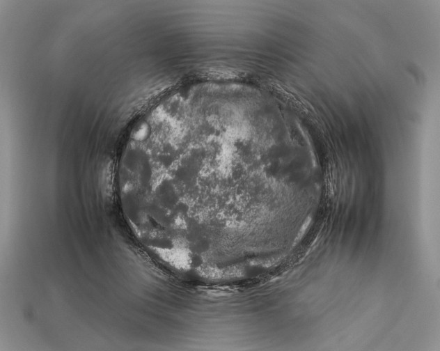 X0000112930359200909211118