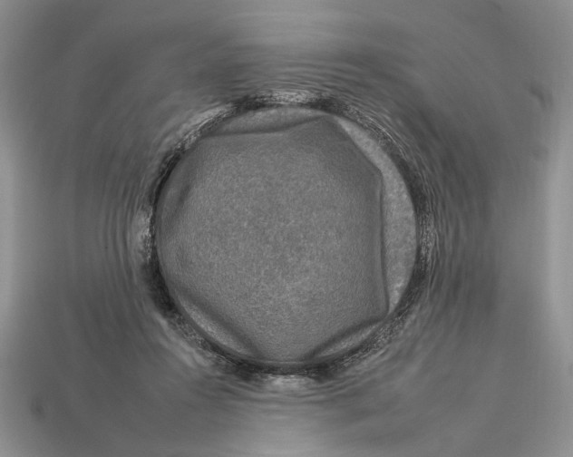 X0000112930360200909211118