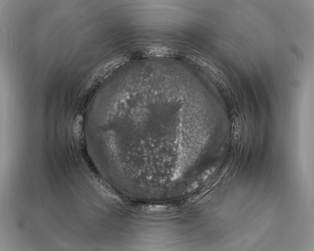 X0000112930361200909211118