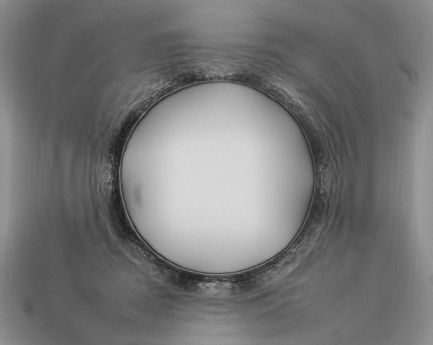 X0000112930362200909211118