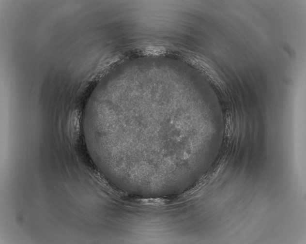 X0000112930363200909211118