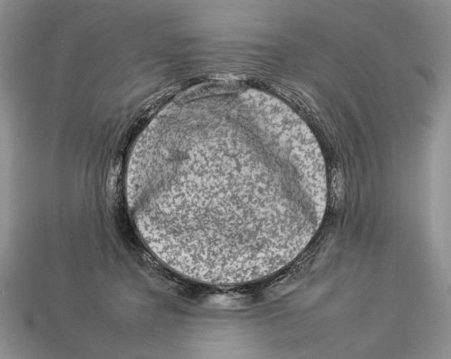 X0000112930364200909211118